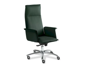 Кресло Epsilon Luxe A chrome images