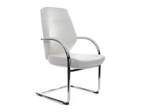 Кресло RV ДИЗАЙН Алонзо-СФ / Alonzo-CF (С1711) images