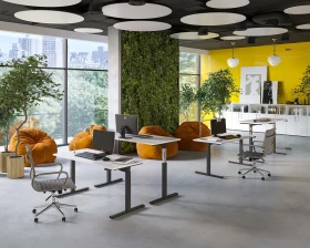 Регулируемые столы Мув Ап / Move Up images