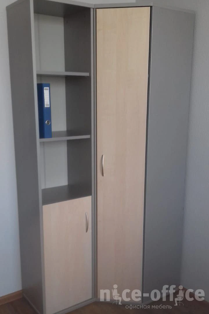 Шкаф высокий узкий левый 1 низкая дверь ЛДСП Riva фото в интерьере 1