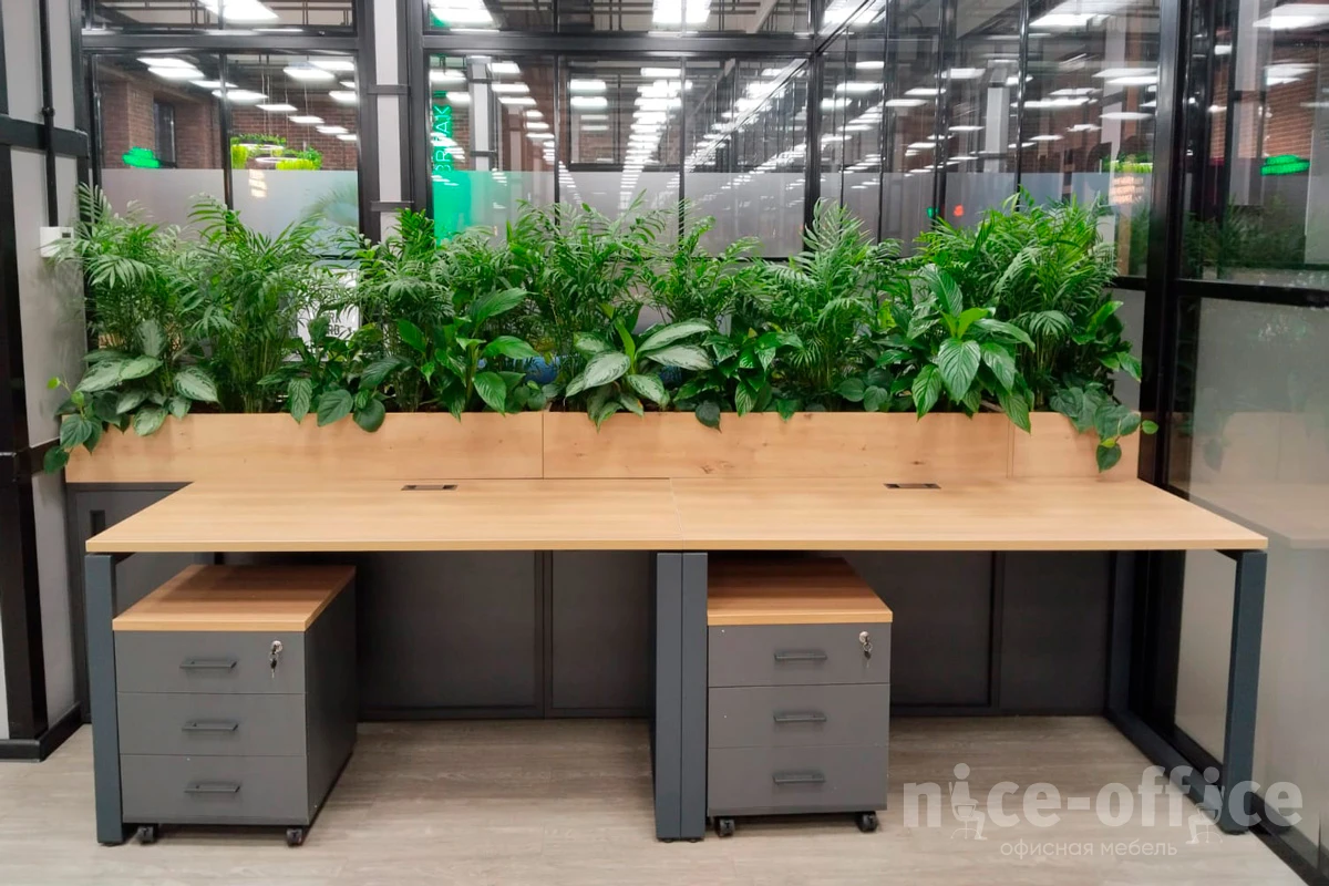 Стол письменный на О-образном м/к 60х30 заглушка кабель-канала антрацит 1400x700x750 Evolution Дуб честерфилд/Антрацит фото в интерьере 1