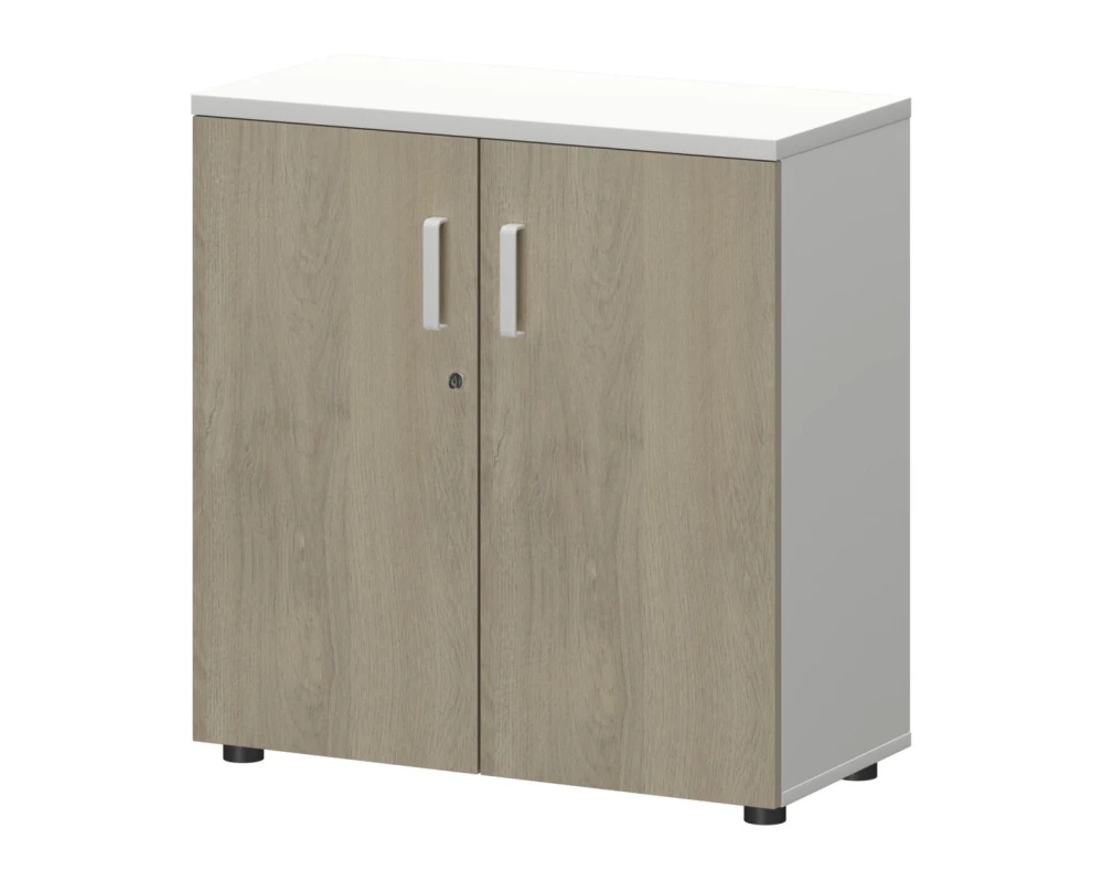 Шкаф СМШ-28Д Тип1 792x380x836 Смарт (pt)