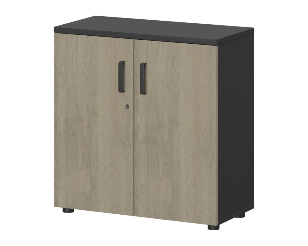 Шкаф СМШ-28Д Тип1 792x380x836 Смарт (pt)