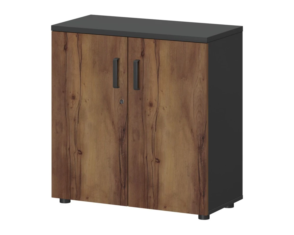 Шкаф СМШ-28Д Тип1 792x380x836 Смарт (pt)