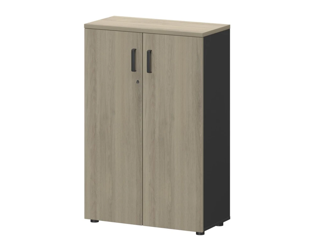 Шкаф СМШ-38Д Тип2 792x380x1214 Смарт (pt)