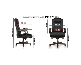 Кресло Триумф images