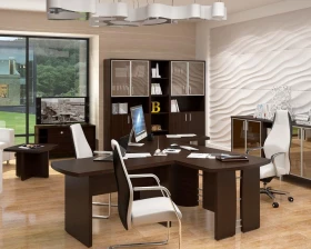 Кабинет руководителя Борн / Born TP images